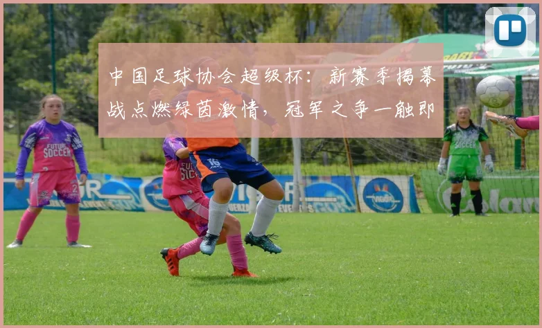 中国足球协会超级杯：新赛季揭幕战点燃绿茵激情，冠军之争一触即发