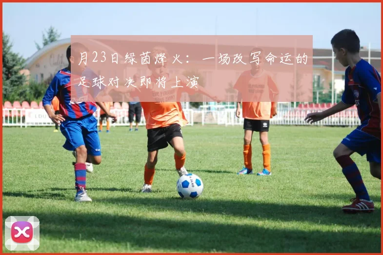 月23日绿茵烽火：一场改写命运的足球对决即将上演